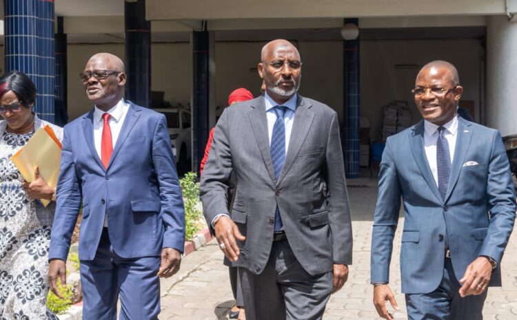  Délégation de Djibouti au FDFP