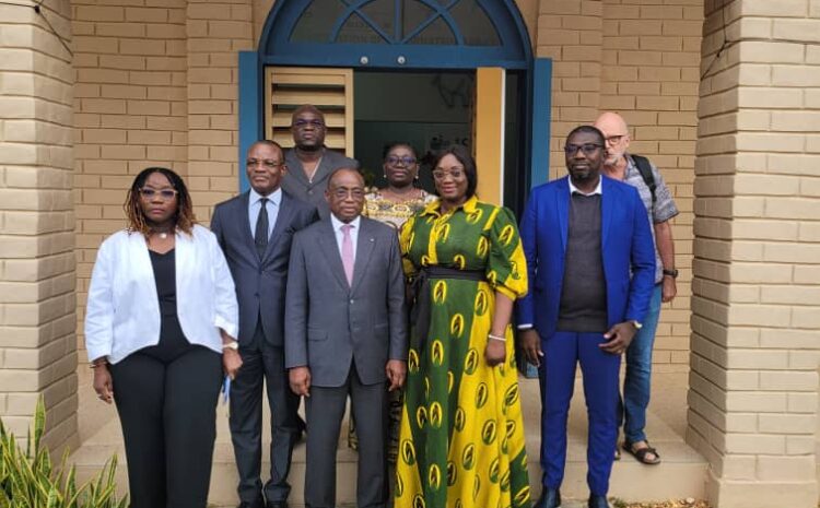  Activités du Réseau Africain Des Institutions Et Fonds De Formation Professionnelle
