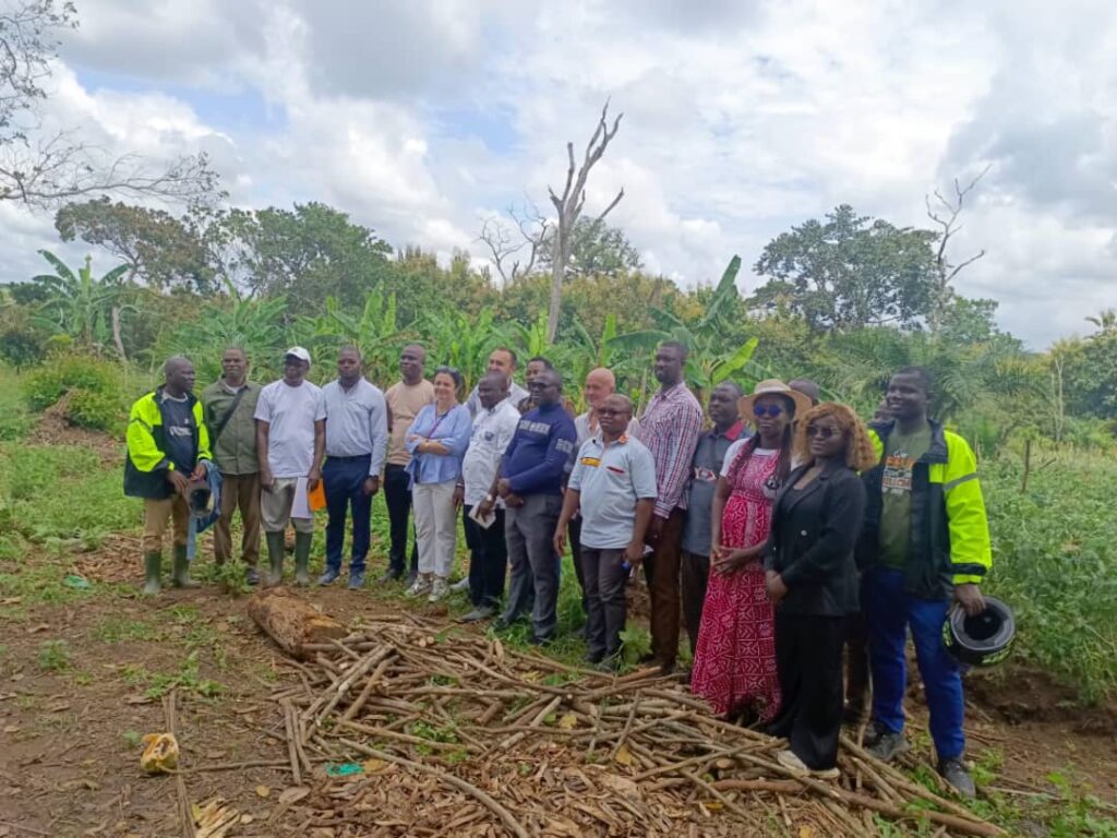 img_2025-10-11 at 07.59.58