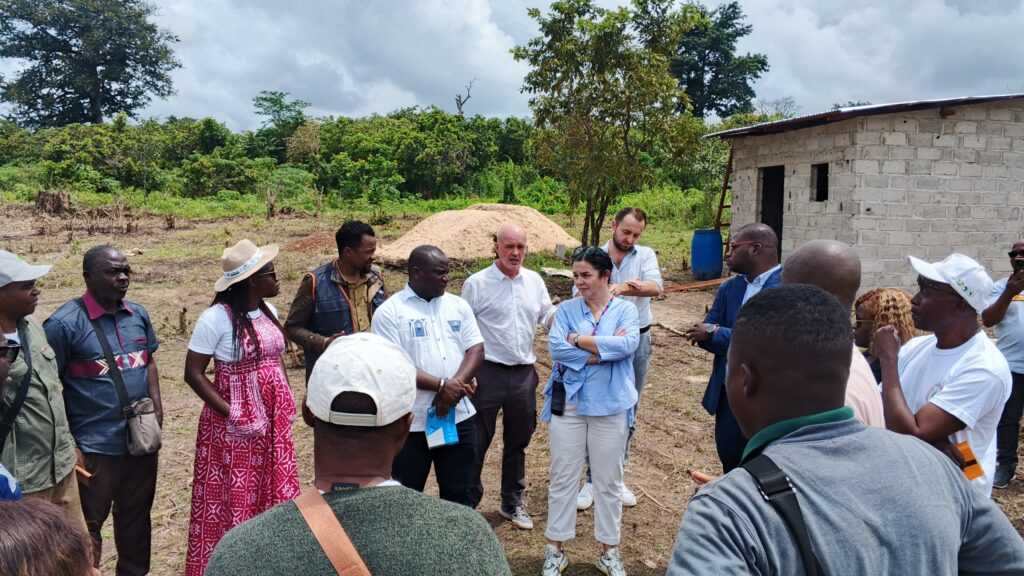 img_2025-10-11 at 08.00.49