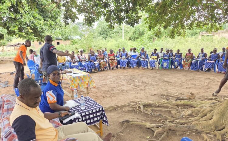  Suivi de projet – Renforcement des capacités à Tiébissou