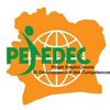 PEJEDEC